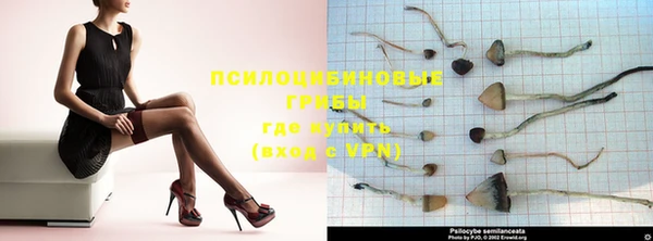 ешки Нея
