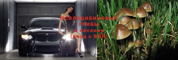 MDMA Premium VHQ Нефтегорск